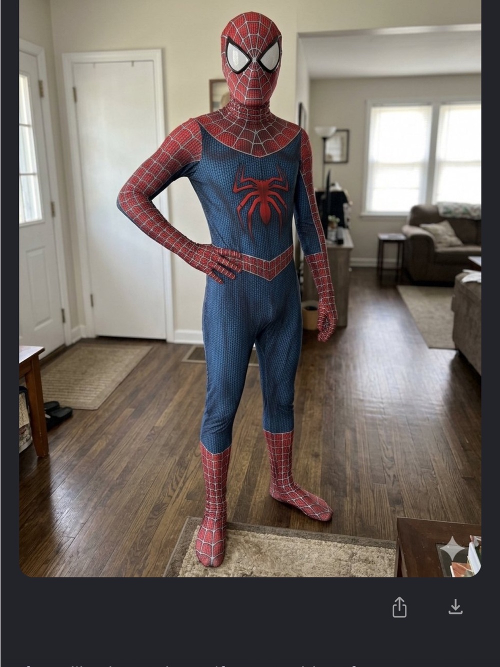 I Mens Spider-Inspired Red & Blue Face Mask Costume Set Spider-Man large